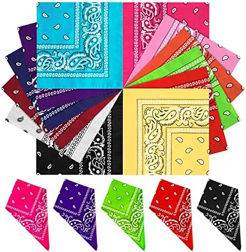Custry 12pcs Bandana Assorted Paisley Unisex Novelty Print Head Wrap Scarf Wristband, bandanas for women and men(12 Colors)