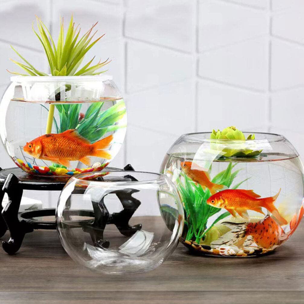 Yardwe Goldfischglas aus Glas, Rundes Kugelaquarium für Pflanzen, 15cm Kugelvase Deko, Transparentes Aquarium für Tisch und Büro