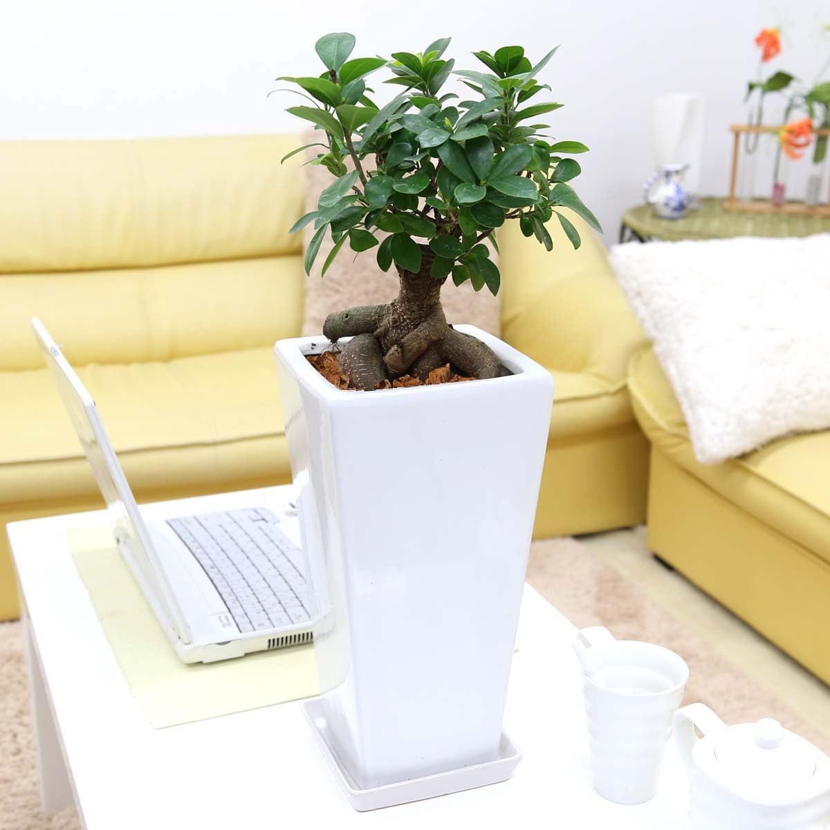 メールオーダー - mina perhonen - 3 ET DEMI みゅう様専用ミナ