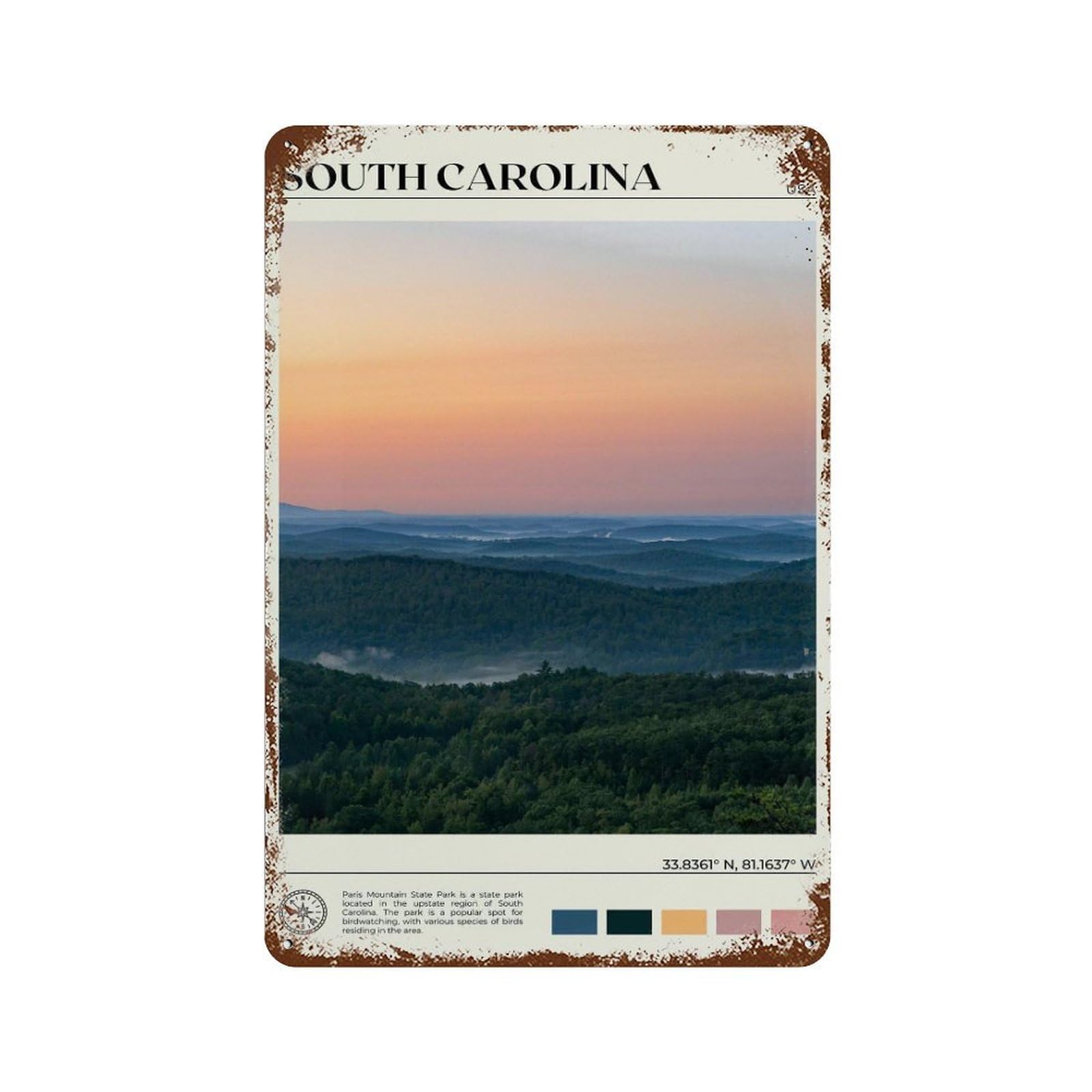 xiaoxiaoshen Real Photo South Carolina Decor Wall Decor Art Metal Tin Poster Modern Home Decor Art Home Bar Shop Decorations Vintage Sign 30x20cm