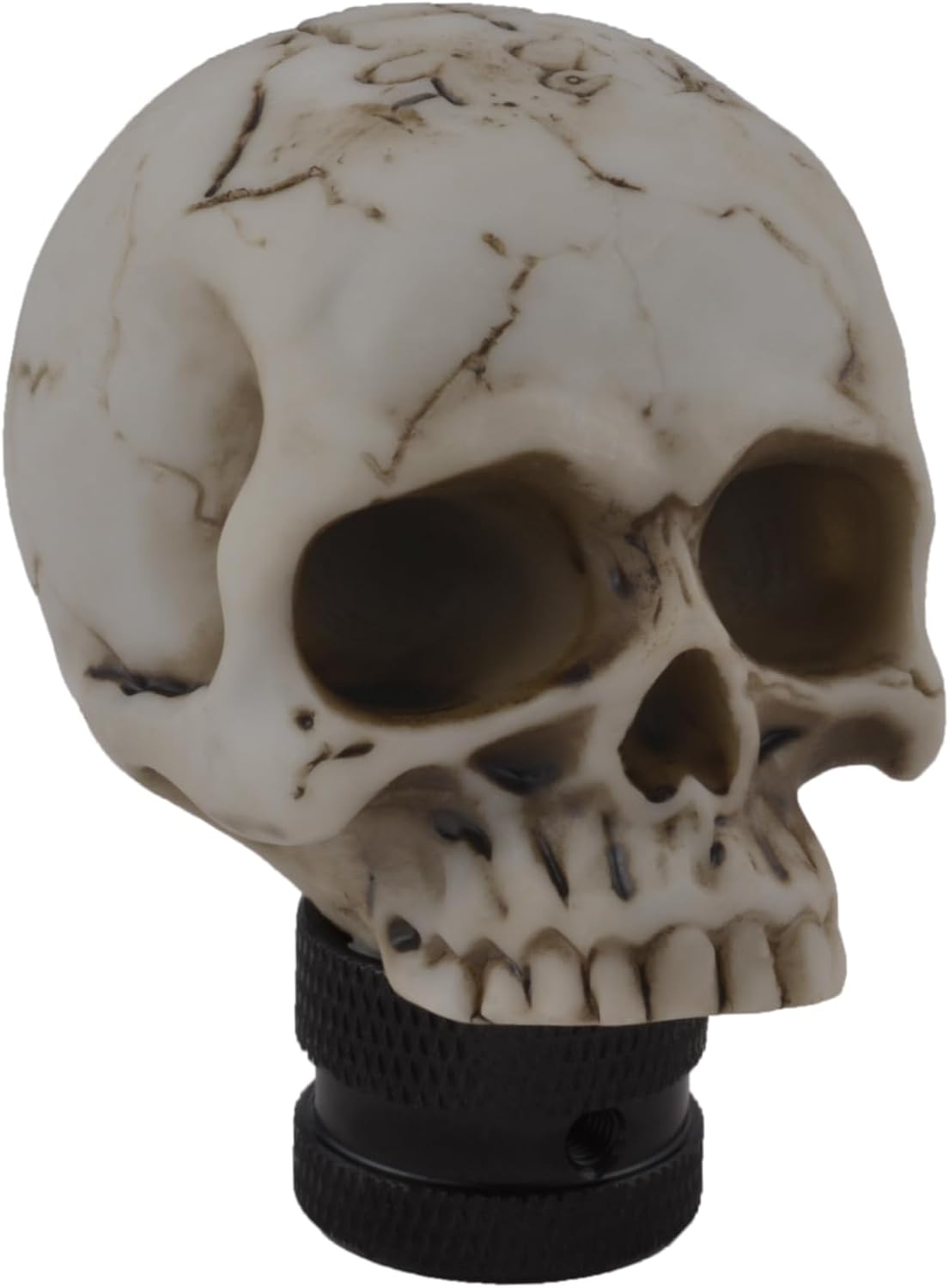 Lunsom 5 Speed Shift Knob, Skull Resin Gear Shifter Handle Car Shifting Stick Fit Most Manual Transmission Vehicles,Off-White Gray