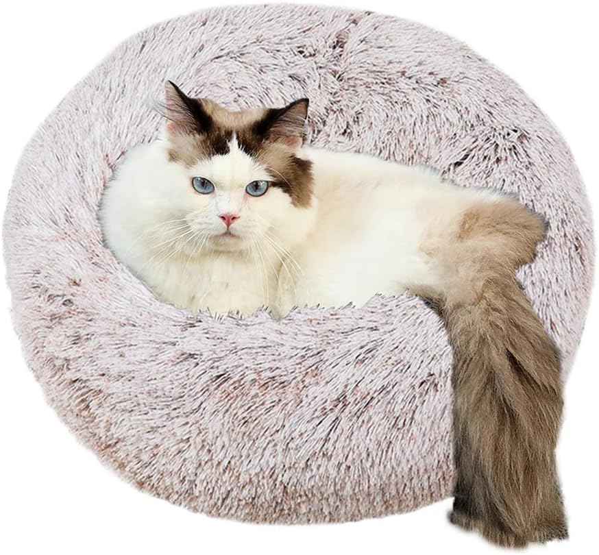 Enkarl ペットベッド 犬ベッド 猫ベッド ふわふわ 丸型 クッション 小動物用 ペット用品 子犬 猫用 猫グッズ 保温防寒 もこもこ 暖かい ぐっすり眠る ペットソファ キャット ペットクッション 通年 洗える ラウンド型 サイズ選択可 M 60 60 コーヒー Enkarl ペットベッド 犬ベッド 猫ベッド ふわふわ 丸型 クッション 小動物用 ペット用品 子犬 猫用 猫グッズ 保温防寒 もこもこ 暖かい ぐっすり眠る ペットソファ キャット ペットクッション 通年 洗える ラウンド型 サイズ選択可 M 60 60 コーヒー
