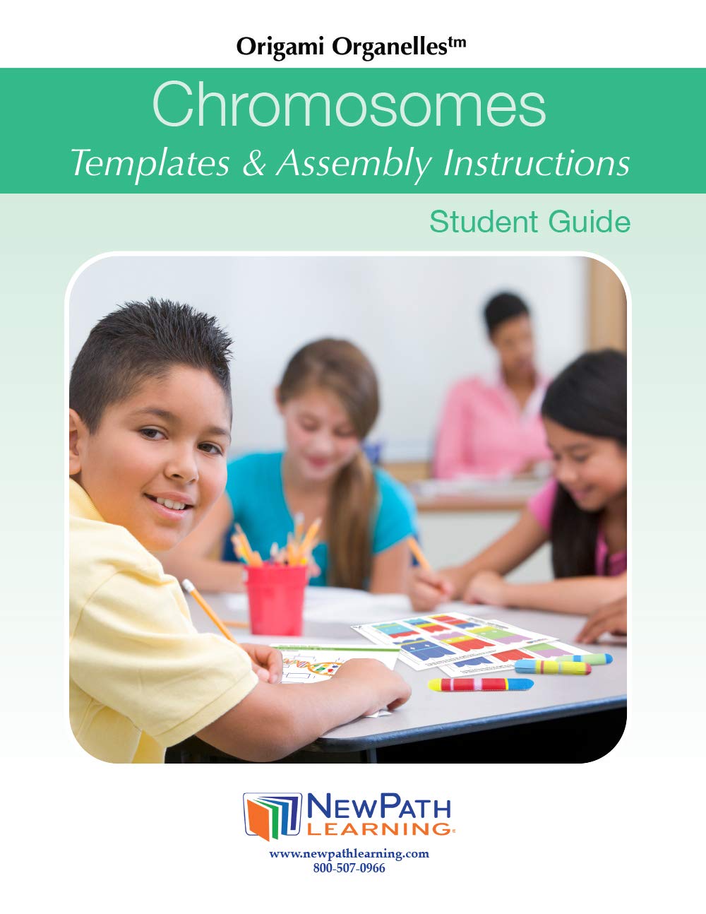 NewPath Learning Chromosomes 3-D Paper Model Making Kit, Set/5 Full-Color, Paper Model Templates & Teacher Guide (24-7714) image 2