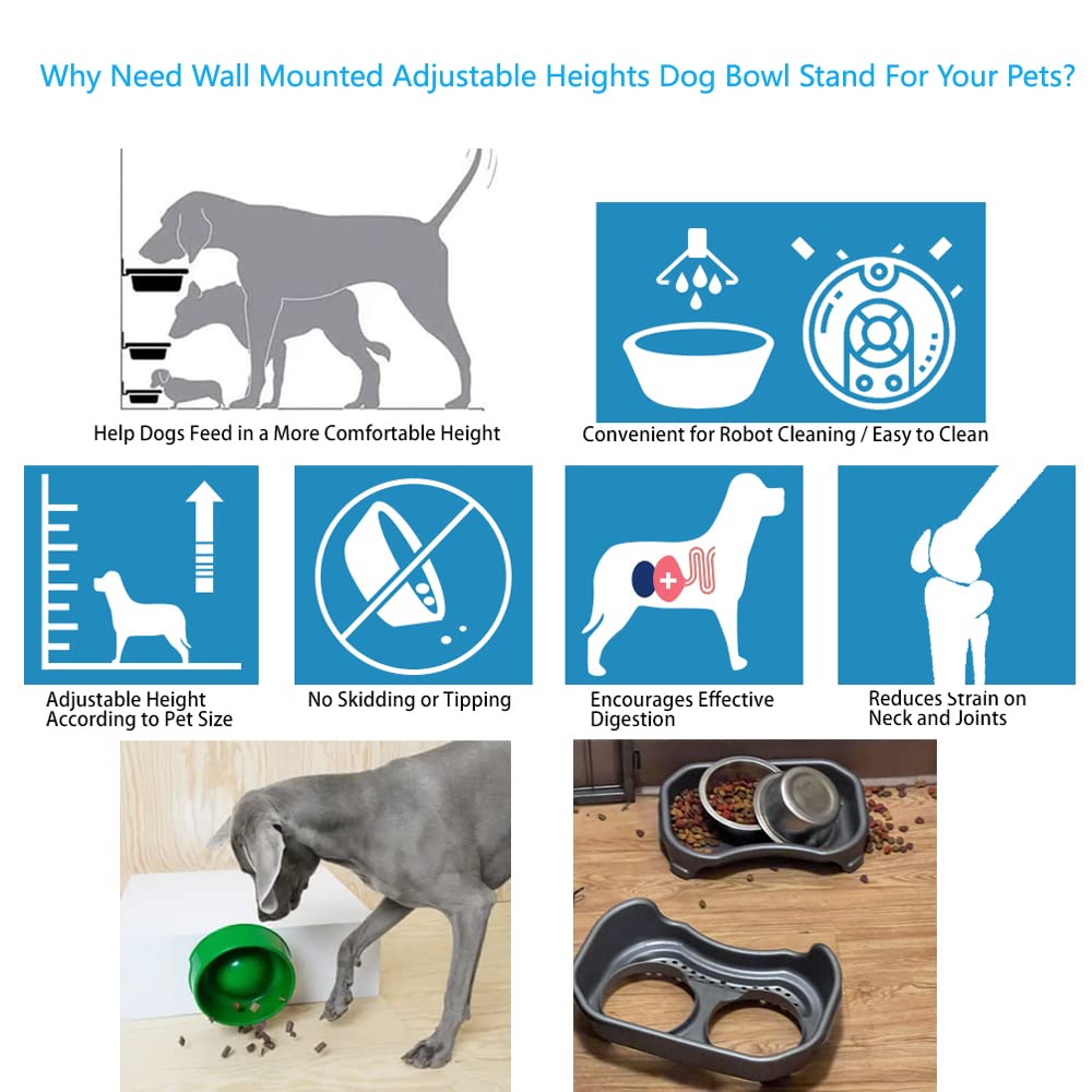 How High Should My Dog Bowl Be