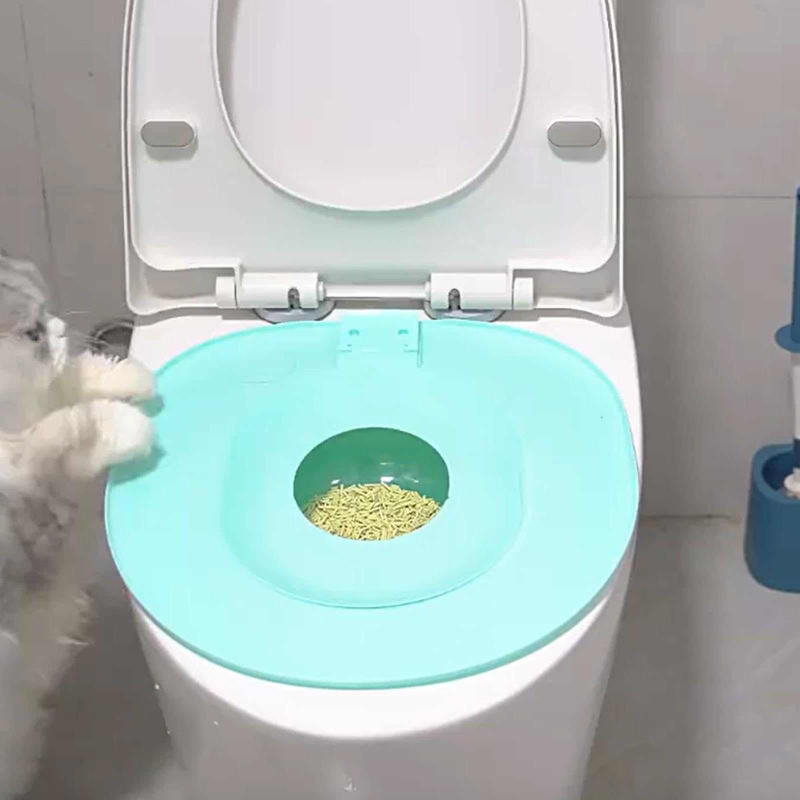 Addestratore Per Water Per Gatti - Vasoino Addestramento Cuccioli - Set Antiribaltamento Per Lettiera Domestica Con Guida Per Appartamenti