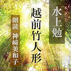 『越前竹人形』のカバーアート