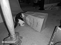 Review Image by kevin blackman kevin blackman