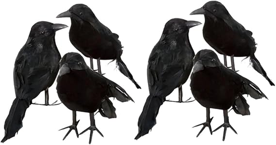 6 Pack Crows Artificial Bird Halloween Decor Raven Black Birds Black Feathered Crow Handmade Prop Decorations Realistic Animal Ornament Figurine Statue Model