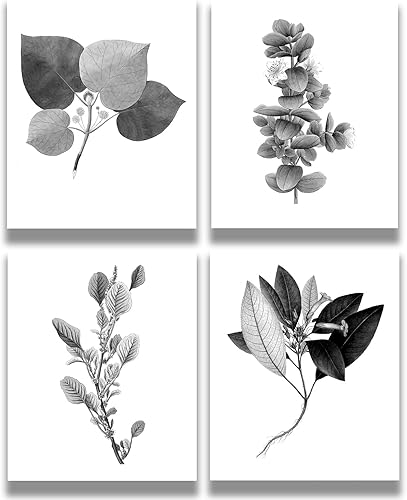 Arte de pared en blanco y negro para sala de estar, baño, decoración de pared vintage para dormitorio, botánico rústico, 4 piezas de 8 x 10