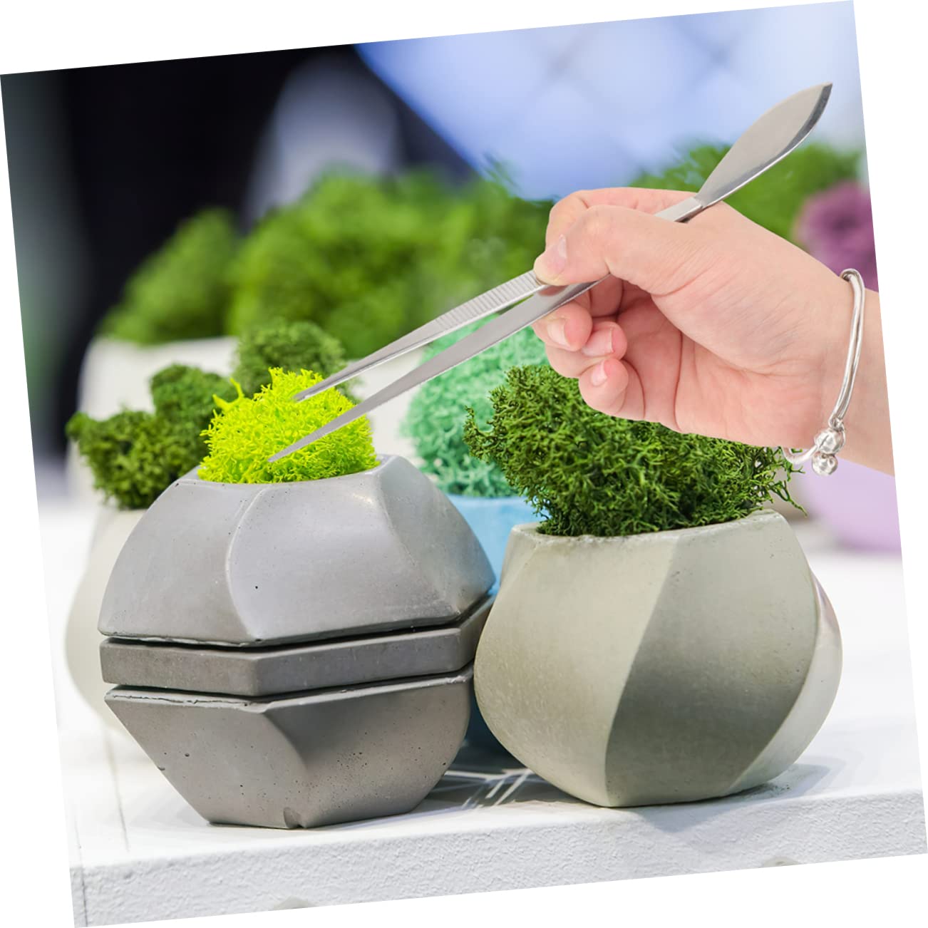 UKCOCO 3 Set Strumenti Per Bonsai Inossidabile Pinzette E Rastrello Per Giardinaggio Utensili Leggeri E Compatti Per Piante 2 Pezzi*3