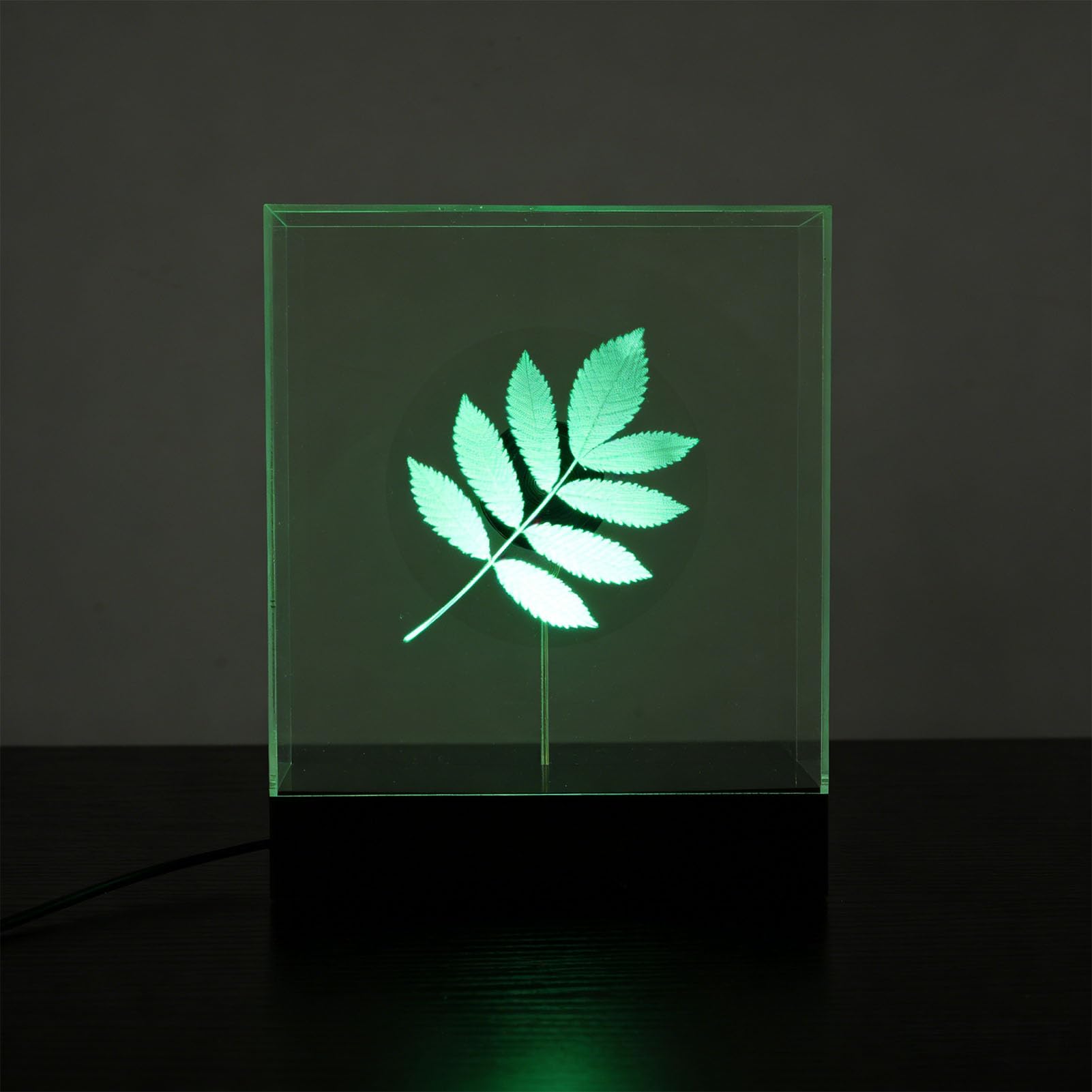 Proiettore Ologramma 3D da 18 Cm, Ventola per Display Pubblicitario Olografico WiFi con 80 LED Risoluzione 298x298, Editing Video Personalizzato con Controllo Software, per