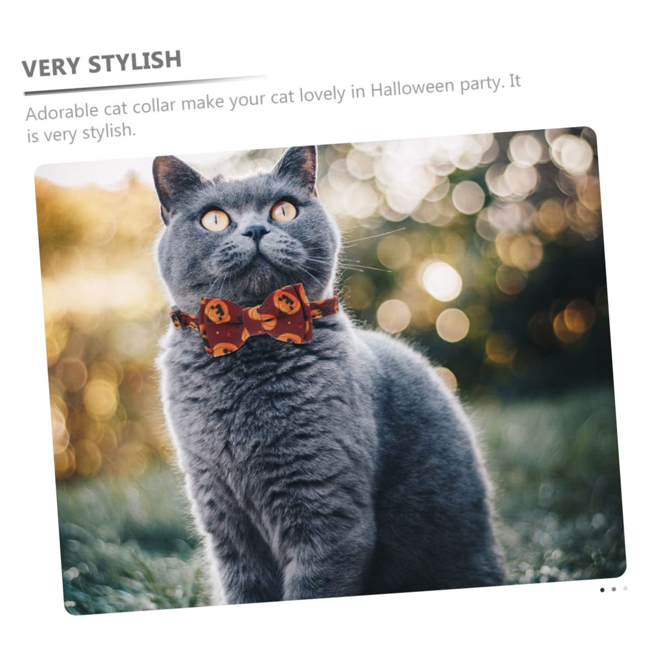 Mipcase 6stücke Halloween Katzenhalsbänder Mit Verstellbarem Design Und Glöckchen Für Partys Niedliches Zubehör Für Ihre Haustiere Varianten Böser Kürbis Und Fledermaus