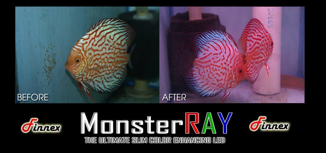 finnex monster ray 48