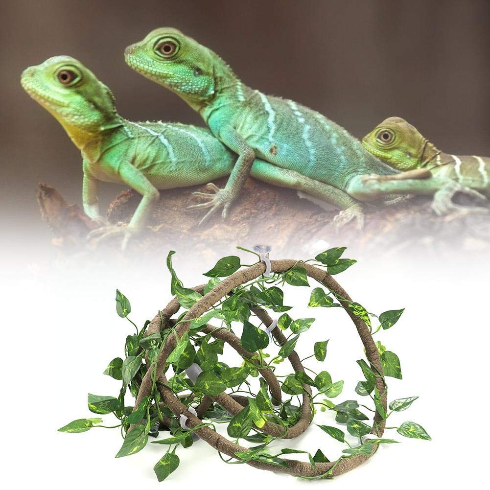 Reptile Branche Branche Flexible Jungle Flexible Habitat Habitat Décor Climber Jungle Longues Vignes 9.84ft Rotin 3 Vignes Avec Des Ventouses(#1)