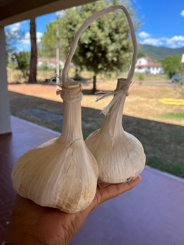 Aglione della Valdichiana Aglio Dolce digeribile non contiene allina niente cattivo alito kiss garlic