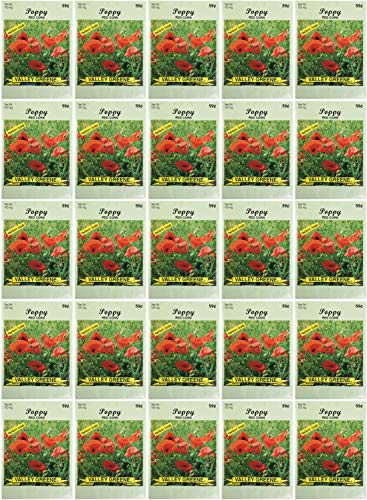 Set of 25 Red Corn Poppy Flower Seed Packets! Flower Seeds in Bulk - Great for Creating The Garden of Your Dreams! (25, Poppy - Red Corn)