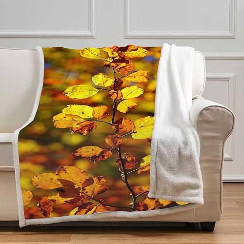 Miniatura 9 de Darkdesign Cobijas Calientes para Invierno - Manta térmica suave y acogedora para dormitorio, tamaño pequeño, 31.5 x 47 pulgadas