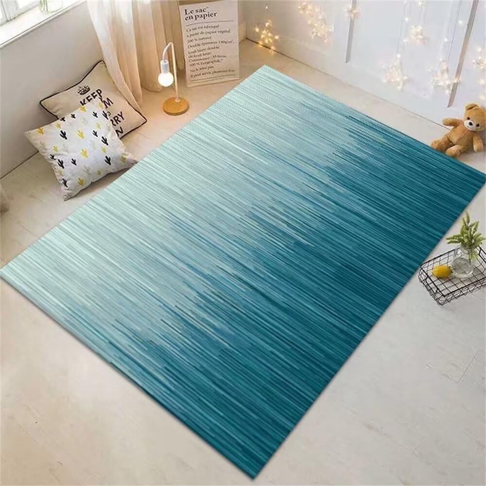 Tapis entree paillasson grand format tapis shaggy noir bleu de chambre 200x300