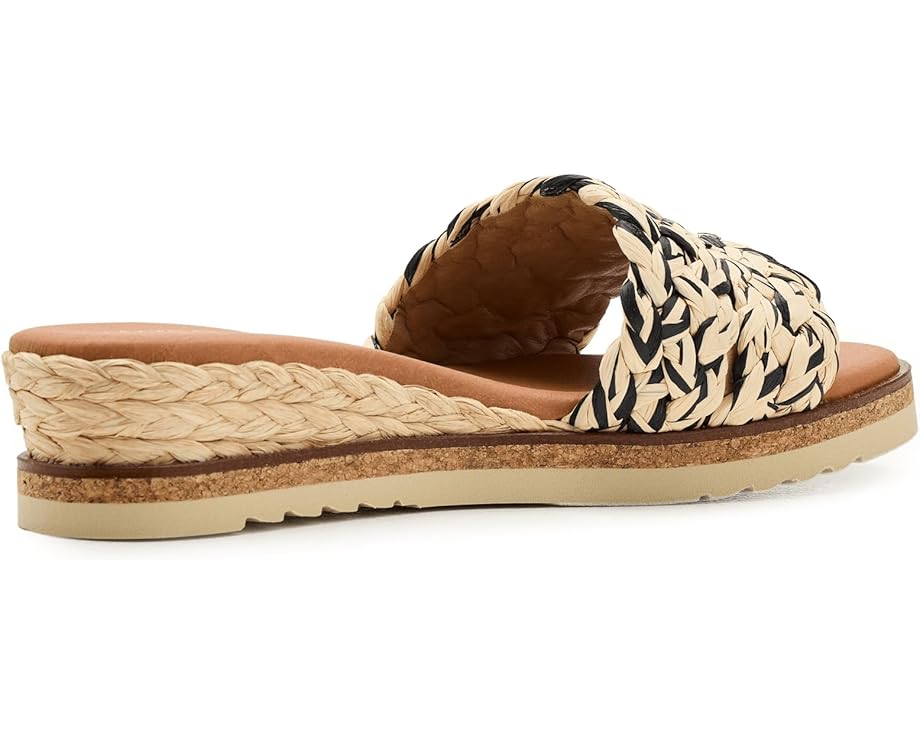 Andre Assous Nessie - Bottom View