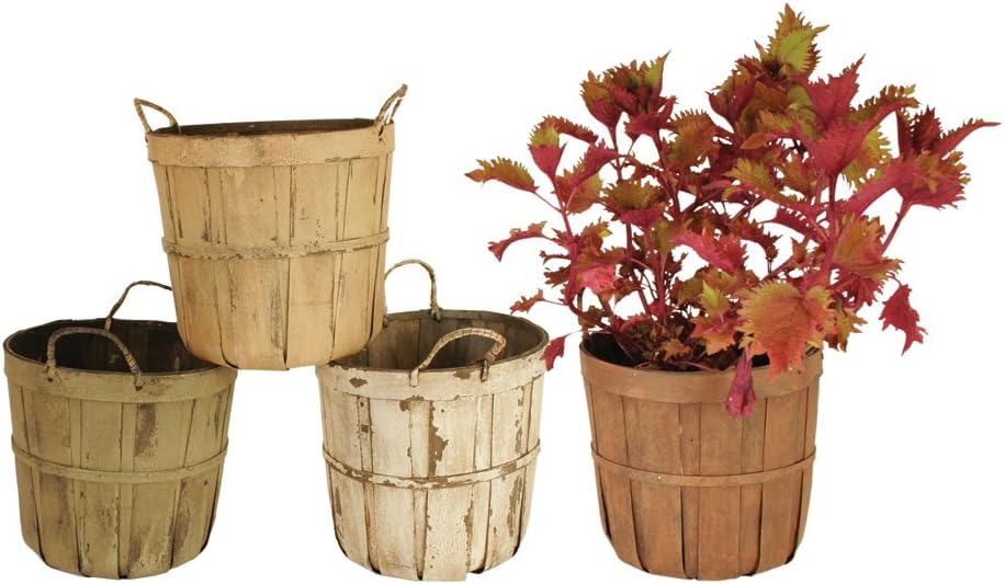 Wald Imports 7" Asst. Pot Cover, Assorted, 4 Piece Home