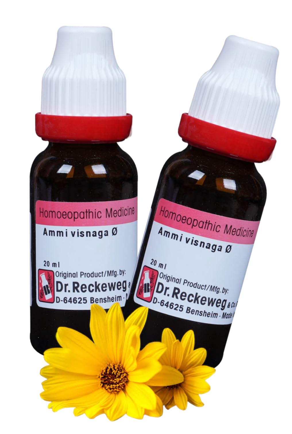 Dr Reckeweg Ammi Visnaga Q Mother Tincture- 20ml (B0CH9817WJ) Amazon Price History, Amazon Price Tracker