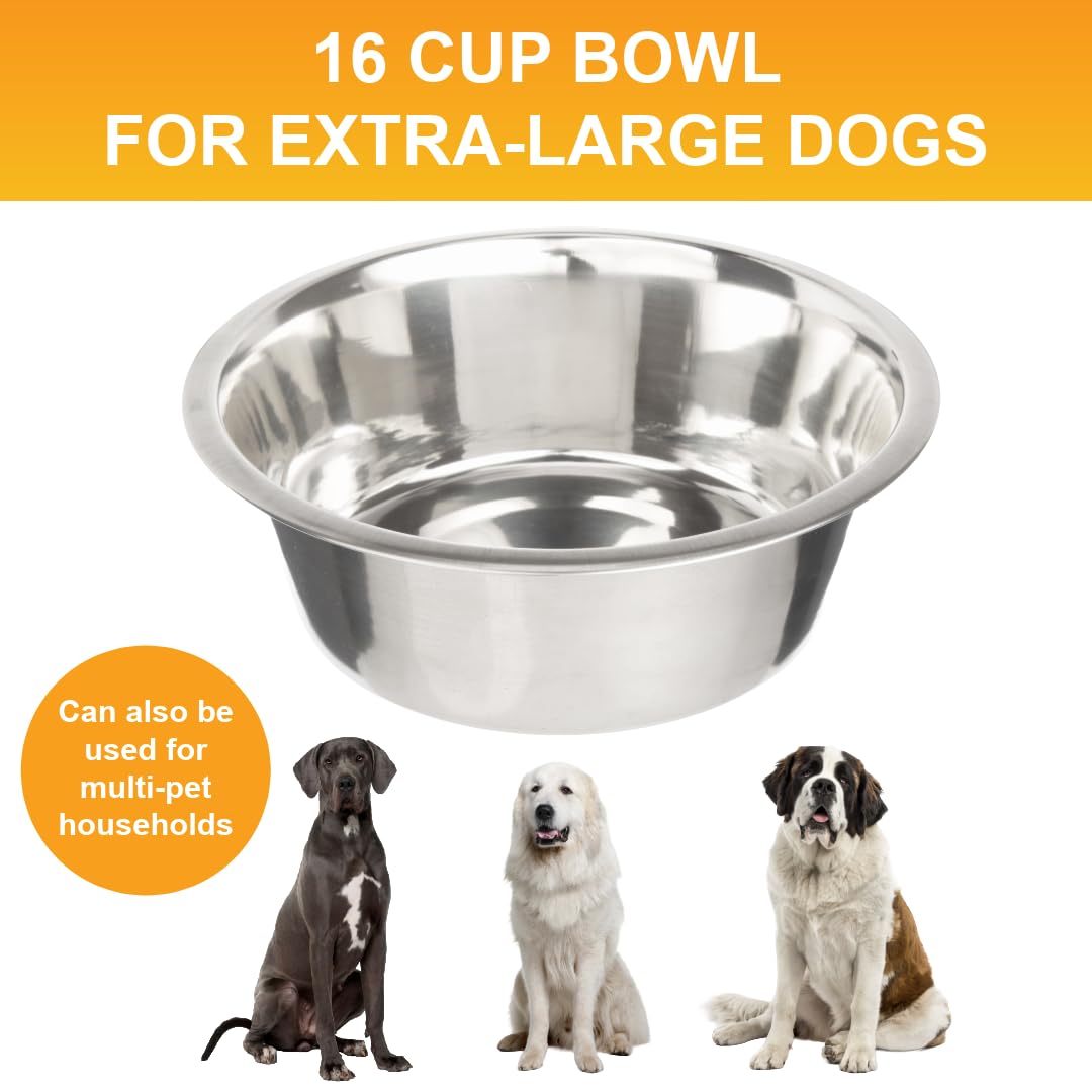 best dog bowl with mat Stainless Steel Dog Bowl & Silicone Mat Set