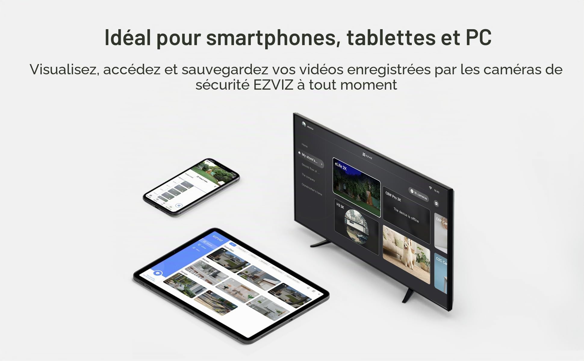 EZVIZ Carte mémoire Ultra Micro SDXC Classe 10 256 Go compatible avec caméras de sécurité EZVIZ (carte SD 256 Go