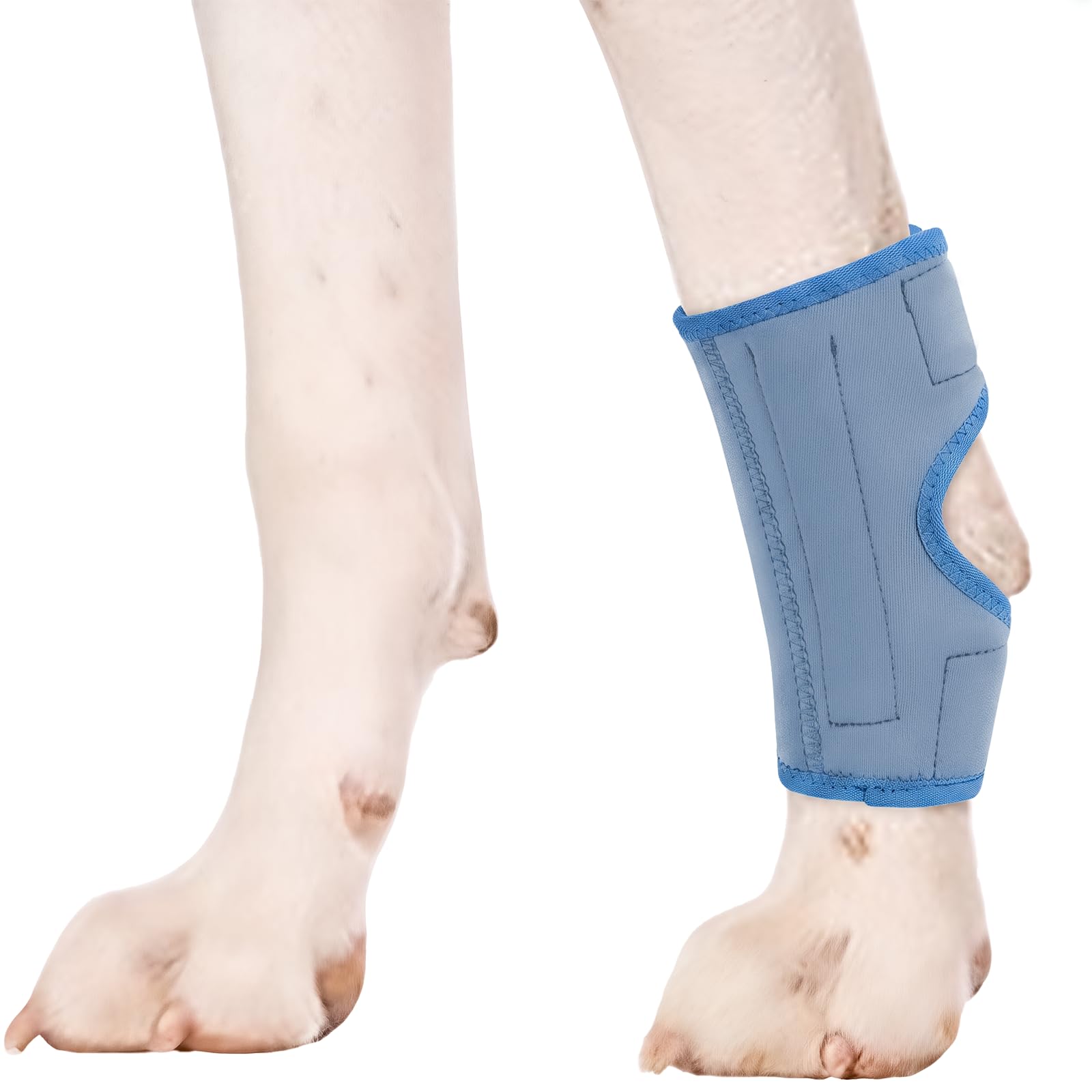 PUMYPOREITY 1Pcs Dog Rear Leg Hock, Joint Brace Hind Leg Wrap Protector and Extra Supportive, LegHock Joint Compression Sleeve for Wound Injury and Sprain Healing of Arthritis(Blue, M)