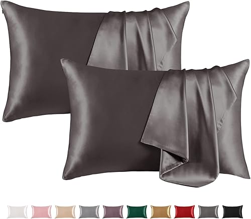 THXSILK Juego de 2 fundas de almohada 100% seda de morera para cabello y piel, ambos lados 19 Momme pura seda natural, fundas de almohada suaves y