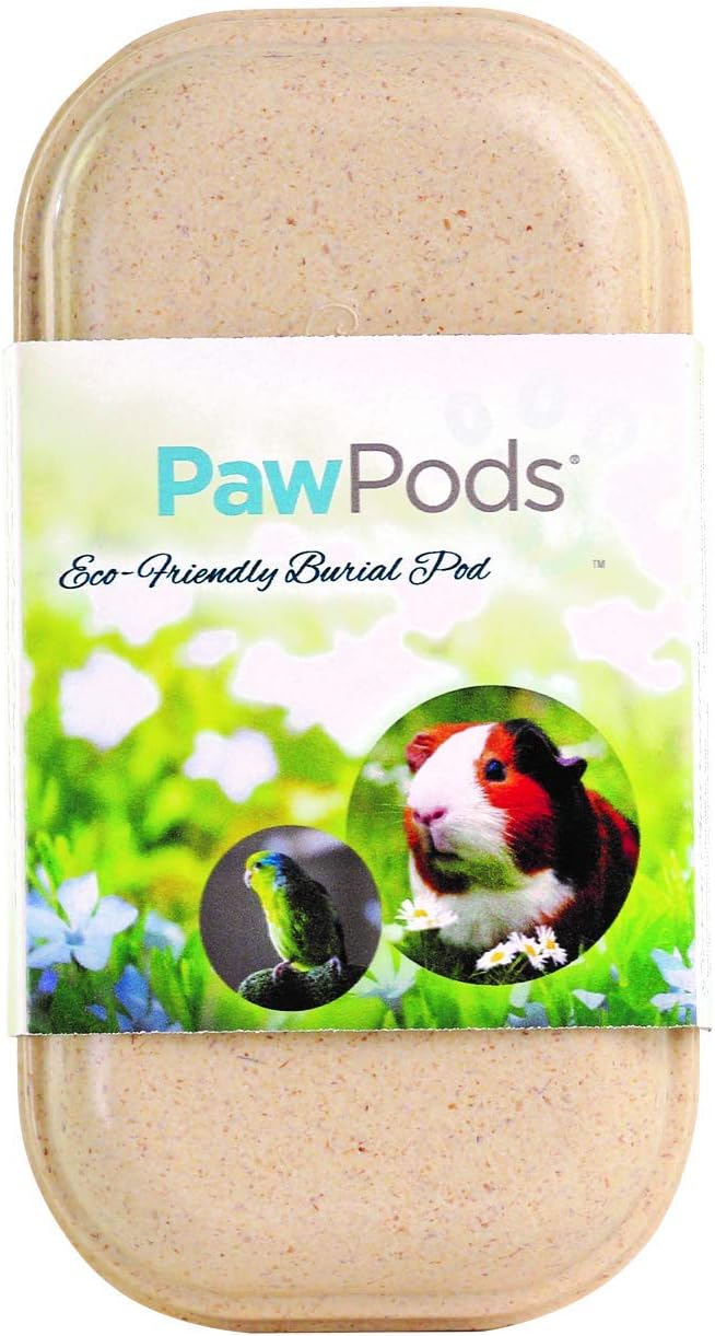 Pet Casket | Biodegradable Pet Grave Pod with Sympathy Card and Seeded Leaf | Plant The Seed for A Living Memorial Pet Grave Marker