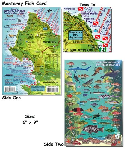 Franko's Laminated California Fish Id Cards 6" X9" All Options, Channel Islands, Catalina, Monterey, Many More, Authorized Dealer, Scuba Dive Fish, Fish Identification, Fish Id Card, Fish Cards , Channel Islands #TOP7