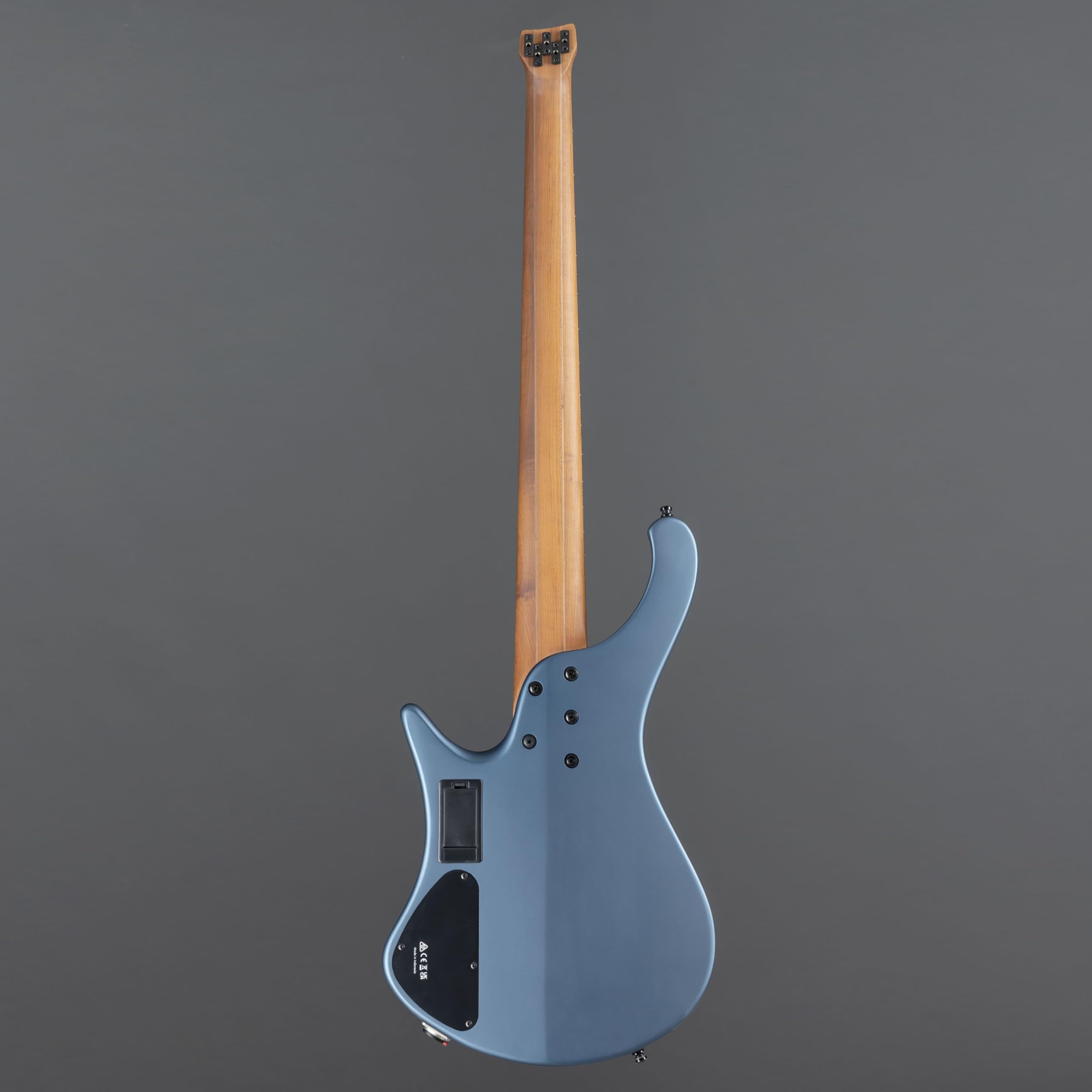 Amazon.com: Ibanez Standard EHB1005F Fretless 5-string Bass Guitar