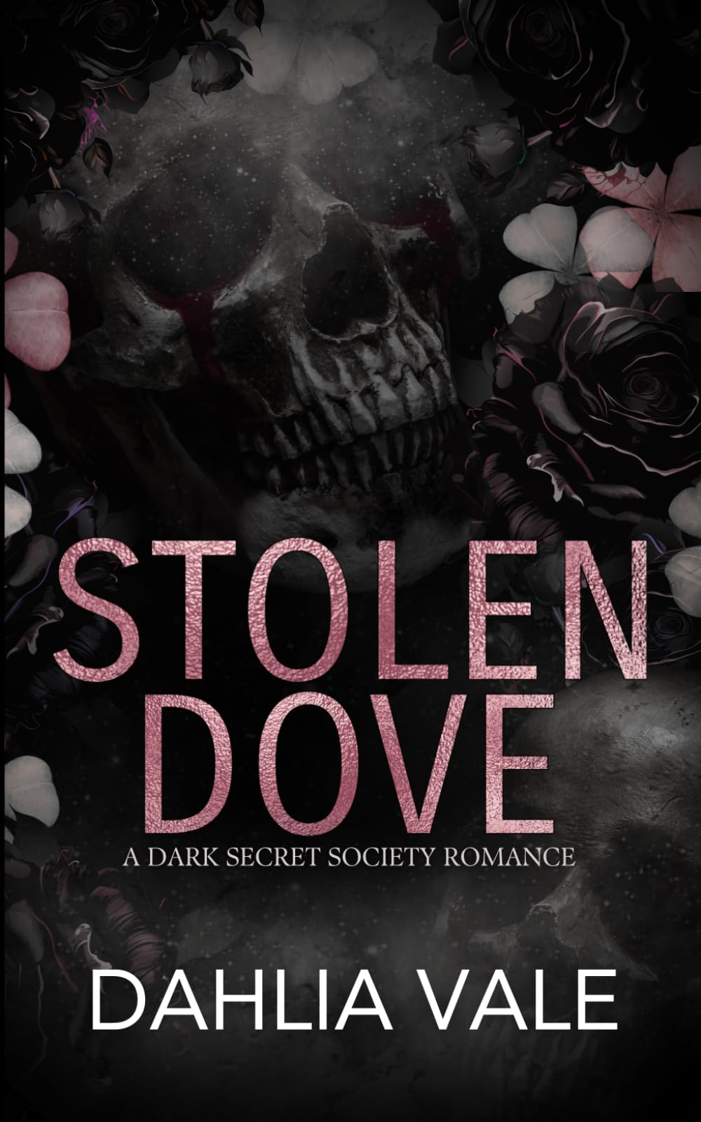 Stolen Dove: A Dark Secret Society Romance (Discreet Version) (The Sinclairs)