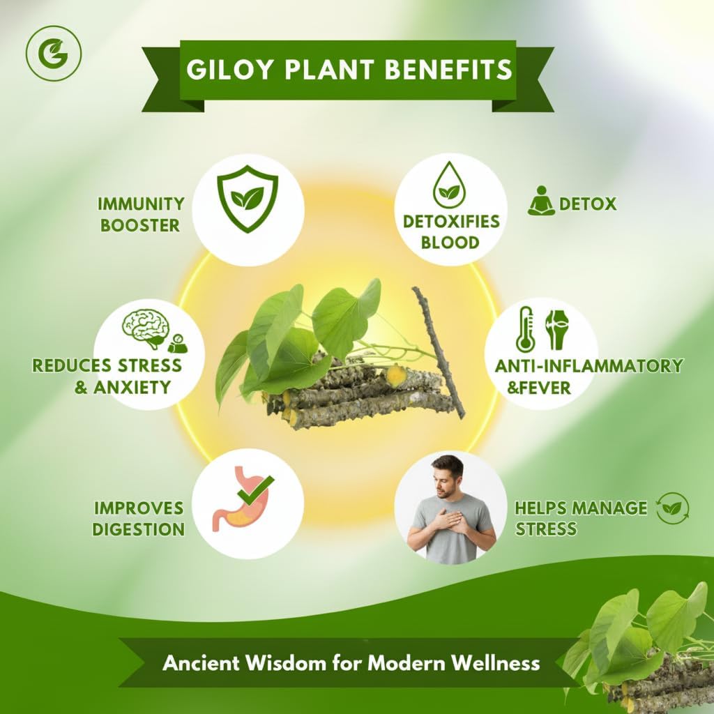 Go Well Herbal Giloy Patches, Body Detox Foot Patches, Stress Relief and Bloating Support (pack of 20) - Image 3 thumbnail