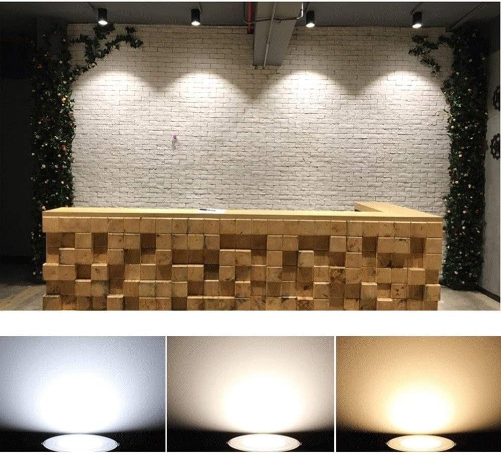 Spot LED encastré, éclairage de vitrine, comptoir à vin, éclairage cylindrique en saillie, 15 W, Finition Noire, plafonnier, lumière Blanche Chaude 6 000 K, Spot pour hôtel (lumière Neutre 12 W)
