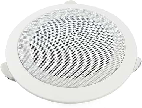 Amazon.es: altavoces empotrables techo