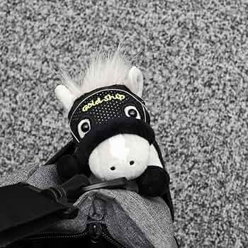 61Ej774z6sL._AC_UF350,