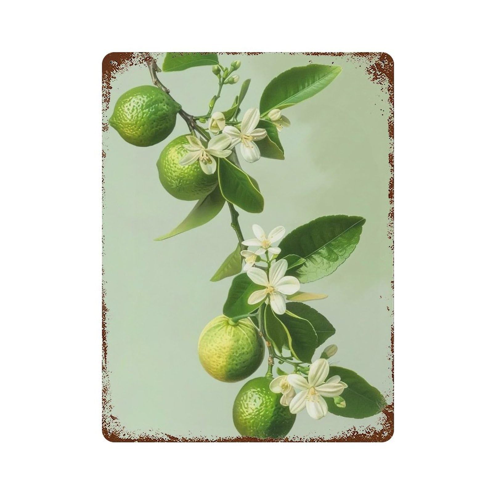 WUJHGRSG Lime Blossom Bough 01 Wall Art Retro Iron Vintage Metal Tin Sign Poster Modern Decor for Home Cofffee Club Bar Shop Style 40x30cm
