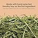 Kaytee Timothy Complete Rabbit Food, Made with Timothy Hay, High in Fiber, Supports Dental Health and Digestion, 9.5 pounds