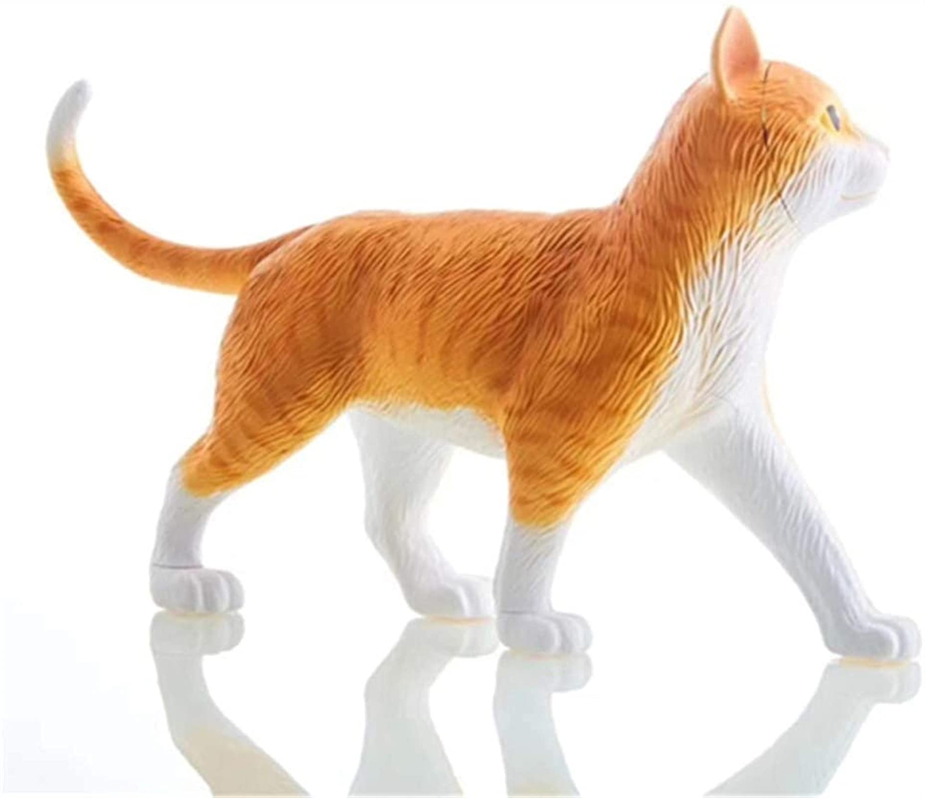 最新　猫の臨床医学 猫の名前 カード検索 ｜ Z/X - Zillions of enemy X - ゼクス