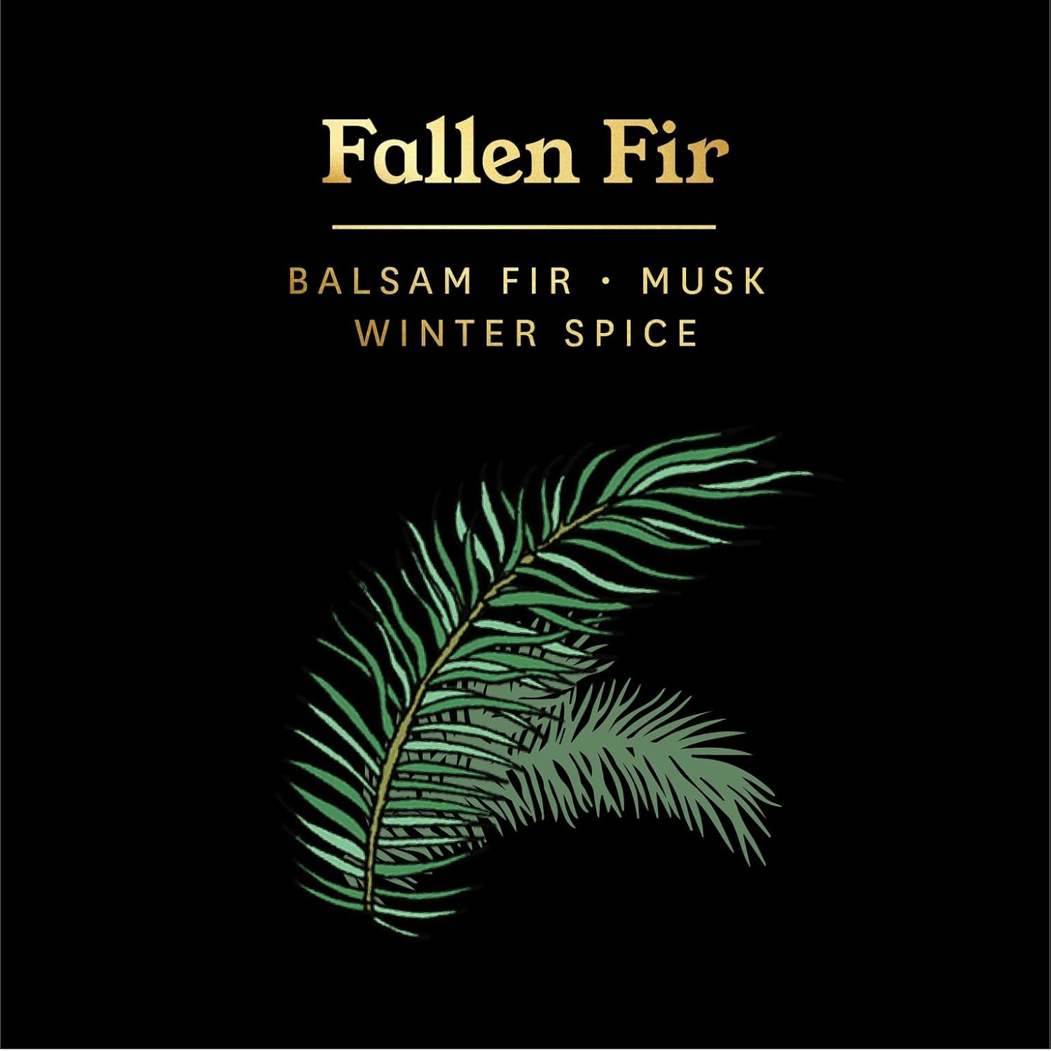 Otherland Fallen Fir Balsam Scented Candle | Woody Scent | Boxed Jar Candle | Luxury Candle | Single Wick Coconut & Soy Wax Blend Candle | Vegan Candle | Long Lasting Candle | Black (8 oz)