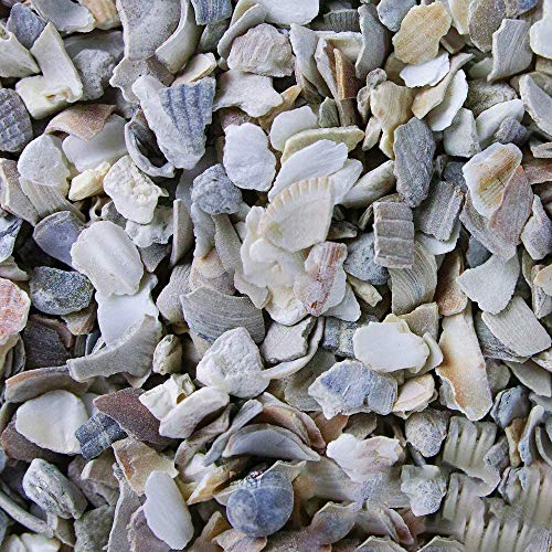 BusyBeaks Hen Sized Oyster Shell | Premium High in Calcium Poultry Grit | Enhances Strong Bones Digestion System and Quality of Eggs | Chicken Hen Animal Wildlife Mixture | Natural Food Mix (15kg)