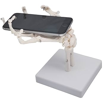 (未使用･未開封品)　手関節モデル/教育模型 0pbj0lf Amazon.co.jp: モノライフ 手関節モデル 手関節 手骨格模型 教育