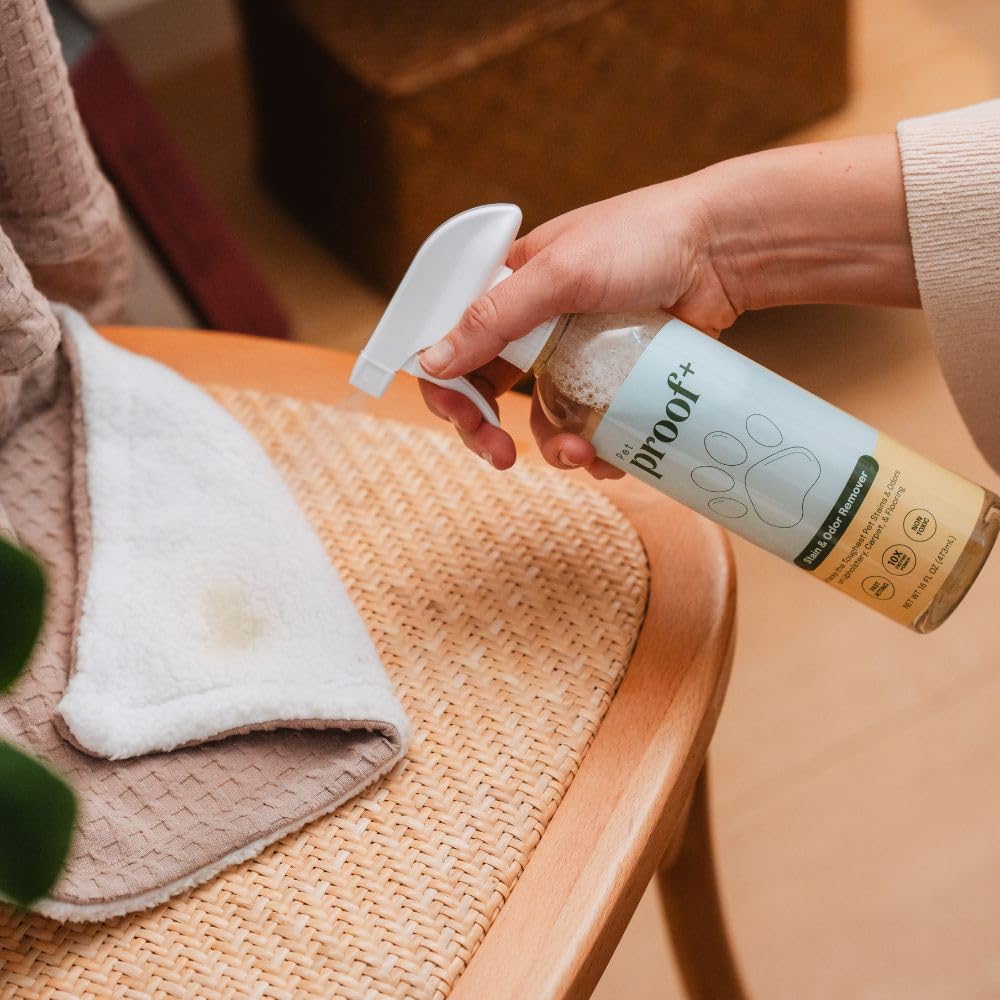 DetraPel ProofPlus Pet Stain & Odor Remover (16oz) - 2 pack - PFAS-Free - Powerful 10x Enzymatic Technology