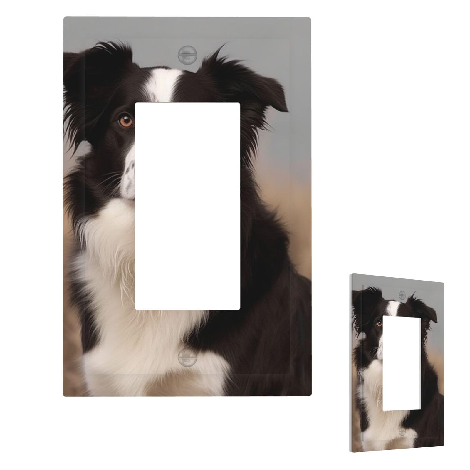 Border Collie Wall Plate Cover 1 Gang, Modern Decorative Light Switch Cover Unbreakable Receptacle Outlet Covers for Living Room Bedroom Decor