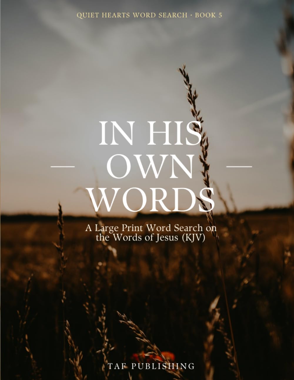 In His Own Words: A Large Print Word Search on the Words of Jesus (KJV) (Quiet Hearts Word Search)