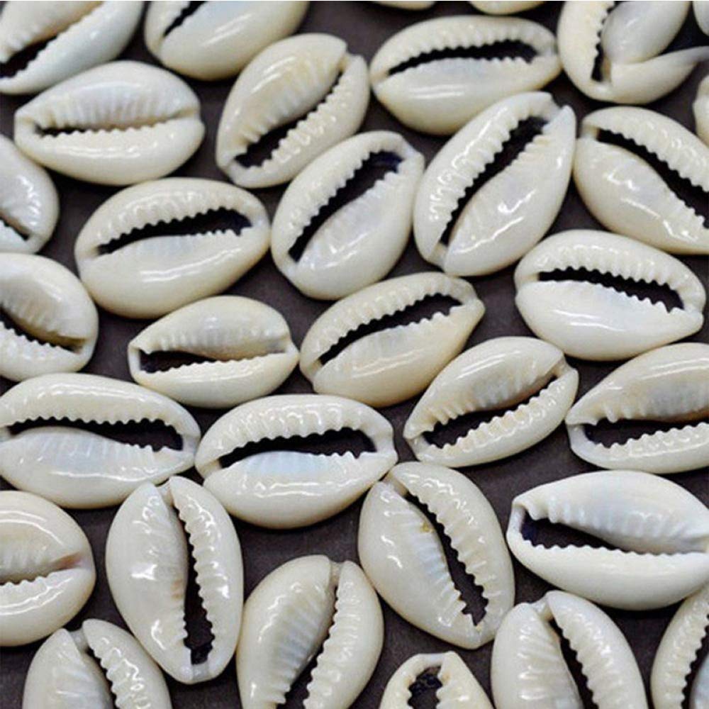 Tossper Dark Brown 50 Pcs Cowrie Shells Seashells For Jewelry Making Oval Natural Spiral Shell Beads Ocean Beach Craft Charms Puka Shells