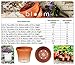 Bloem Terra Pot Planter (20-50408), Living Green, 8
