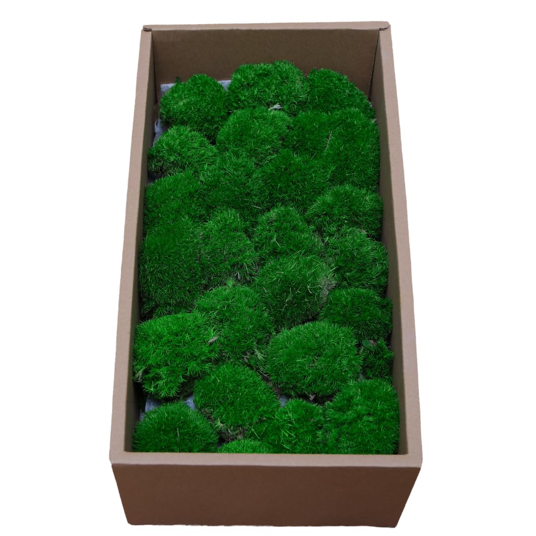 Zencewell Deep Emerald Real Preserved Moss For Diy Crafts – Evergreen & No Water Needed – 0.14M² Light Green Natural Dried Moss For Terrariums, Wall Art, Floral Arrangements & Home Décor (Deep Emerald)