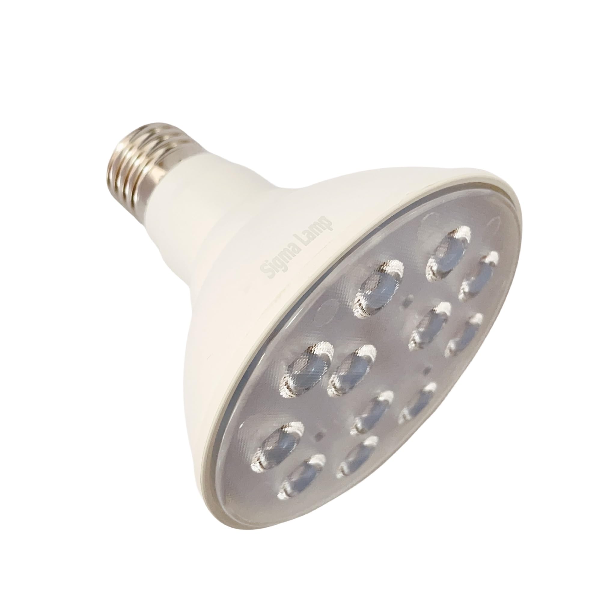 PAR30 E27 LED LAMP,12W 3000K,Super Bright Replace 100W Halogen Lamp,Spotlight Bulb, Floodlight Bulb,Track Light, for Indoor and Outdoor Use